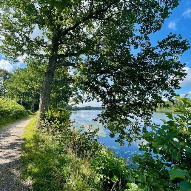Lagastigsgatan 60 D i Markaryd