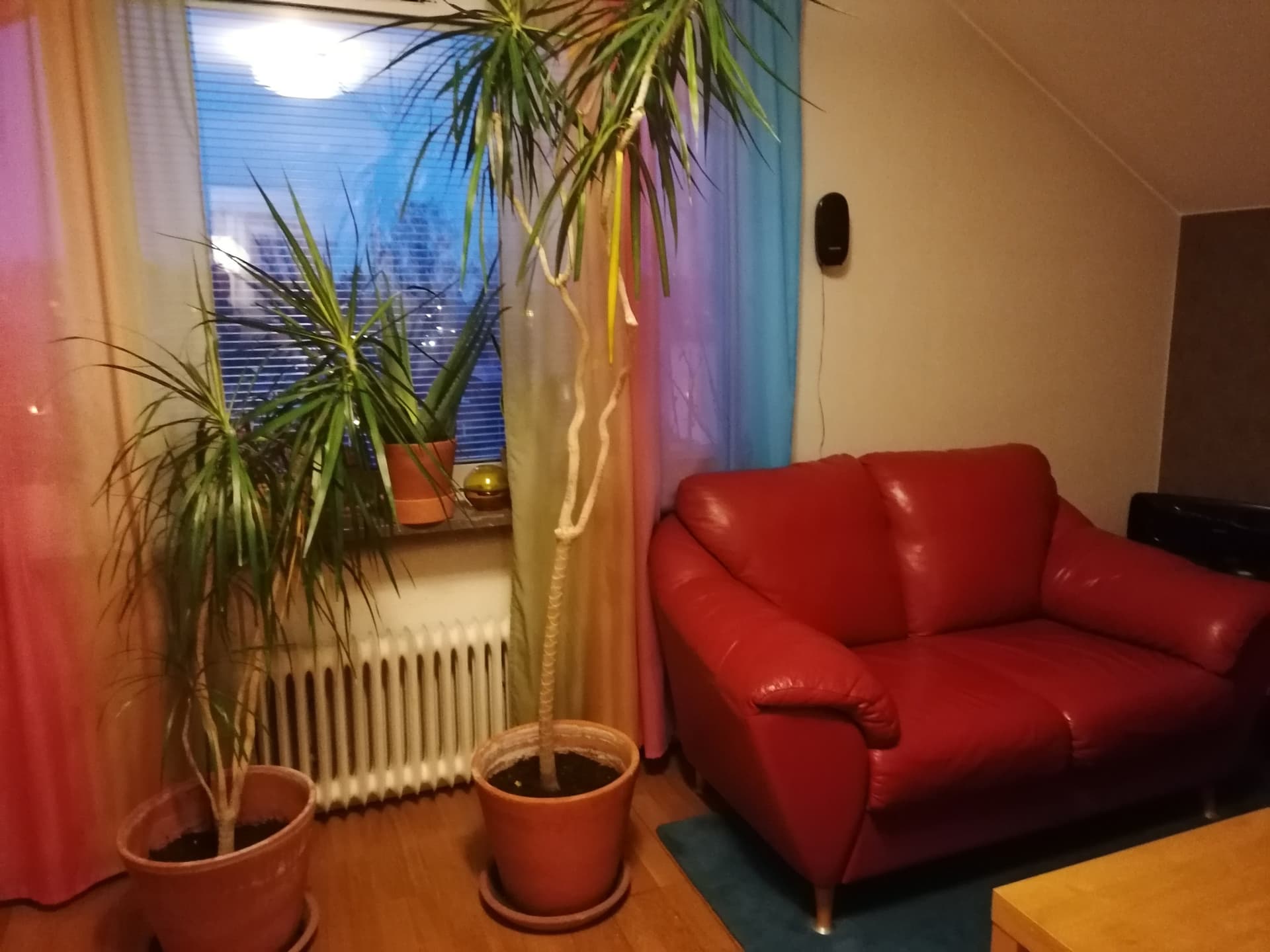 Alléplan i Tyresö