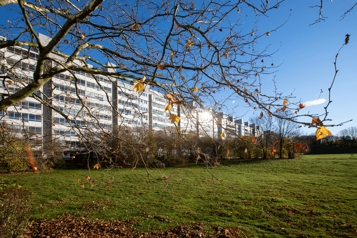 Thomsons Väg 52 i Malmö