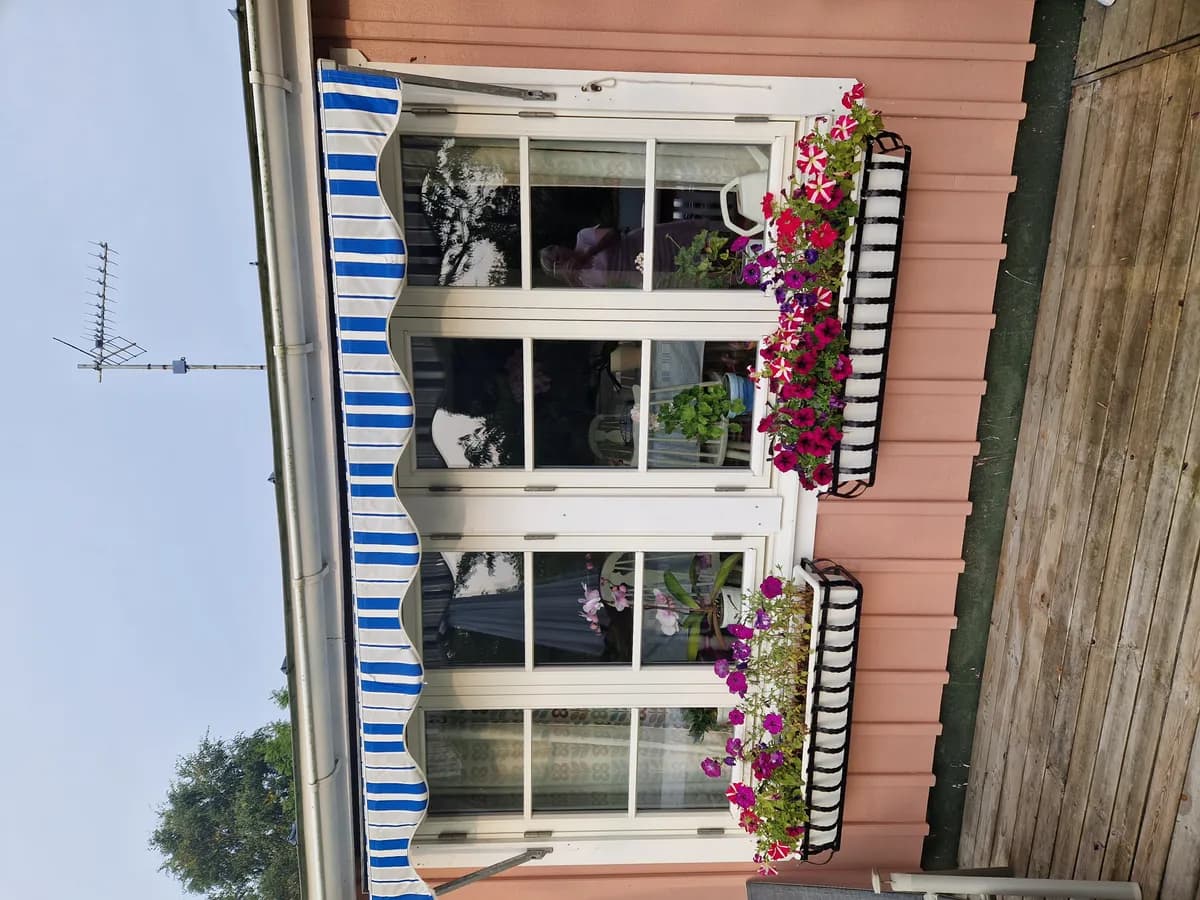 Skogsvägen i Vejbystrand