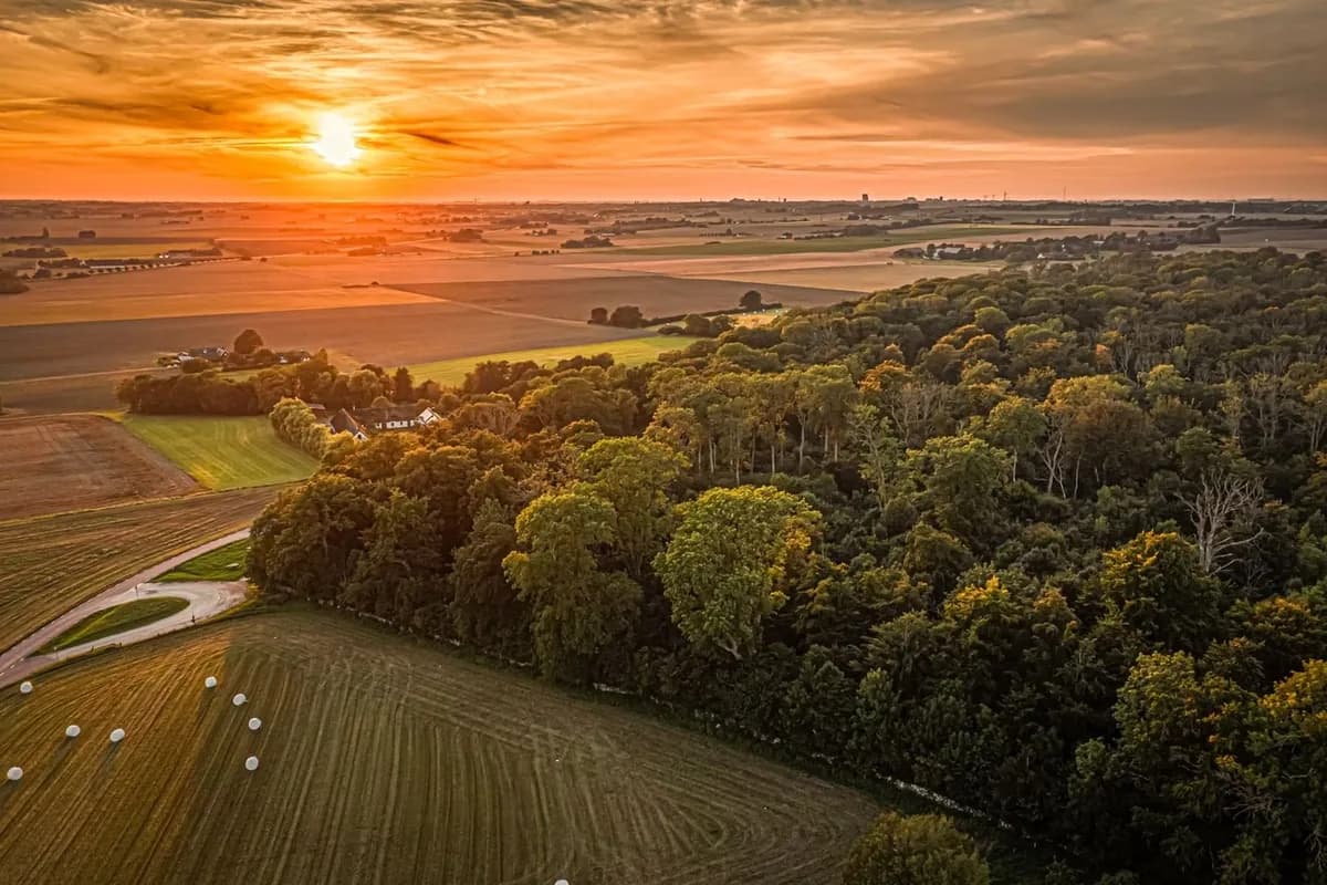 Hällestadsvägen i Dalby