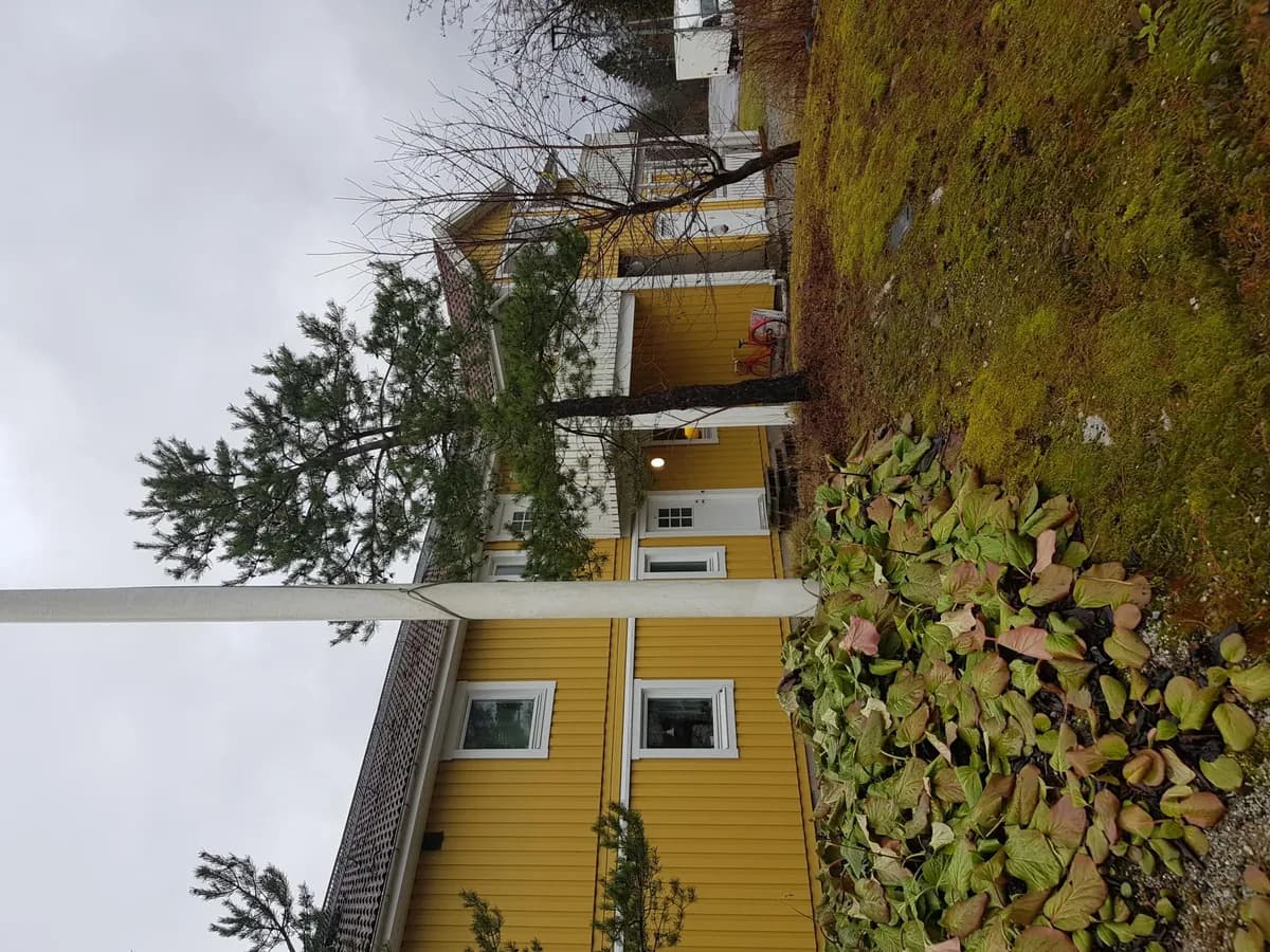 Kofallsvägen i Frövi