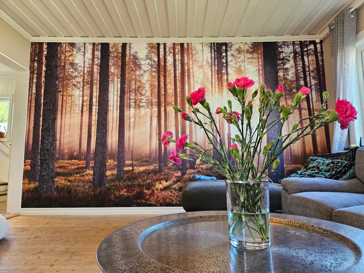 Johansgatan i Skellefteå