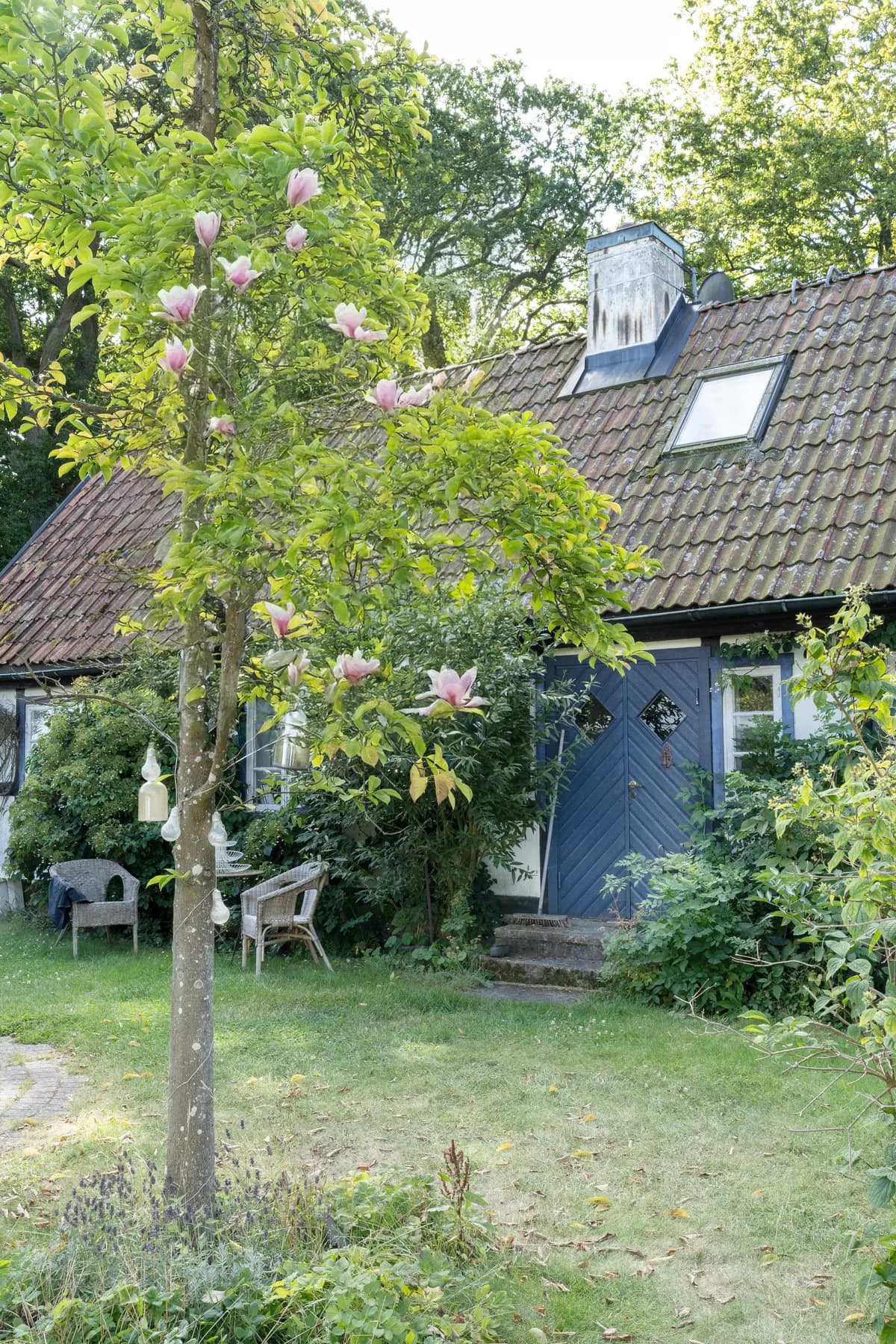 Björketvägen i Kivik