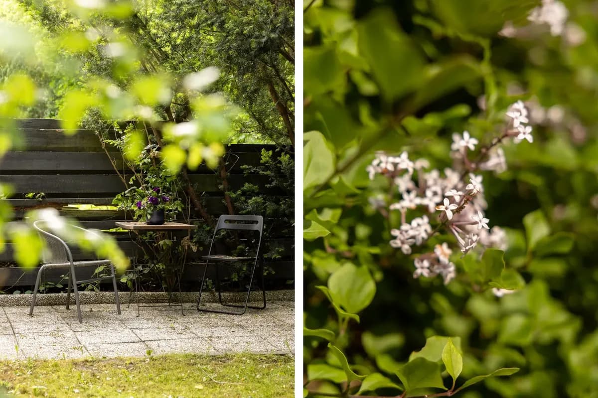 Blåtungavägen i Lund