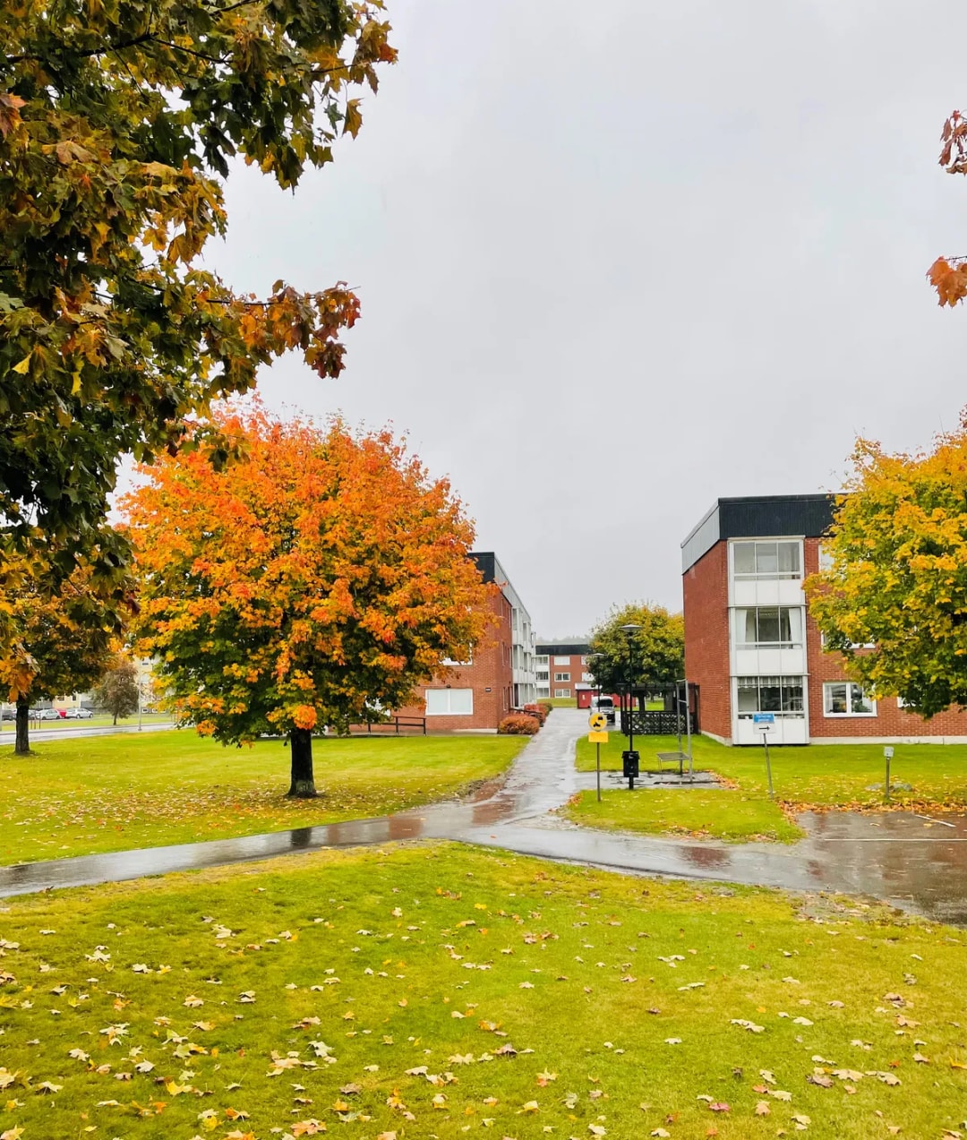 Södra Ringvägen i Tidaholm