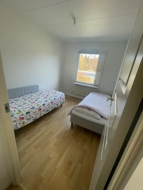 Gullvivestigen i Bro