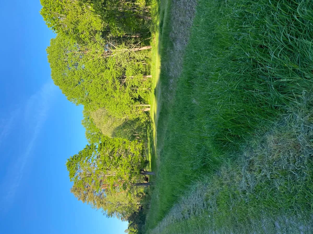 Constantiavägen i Lidingö