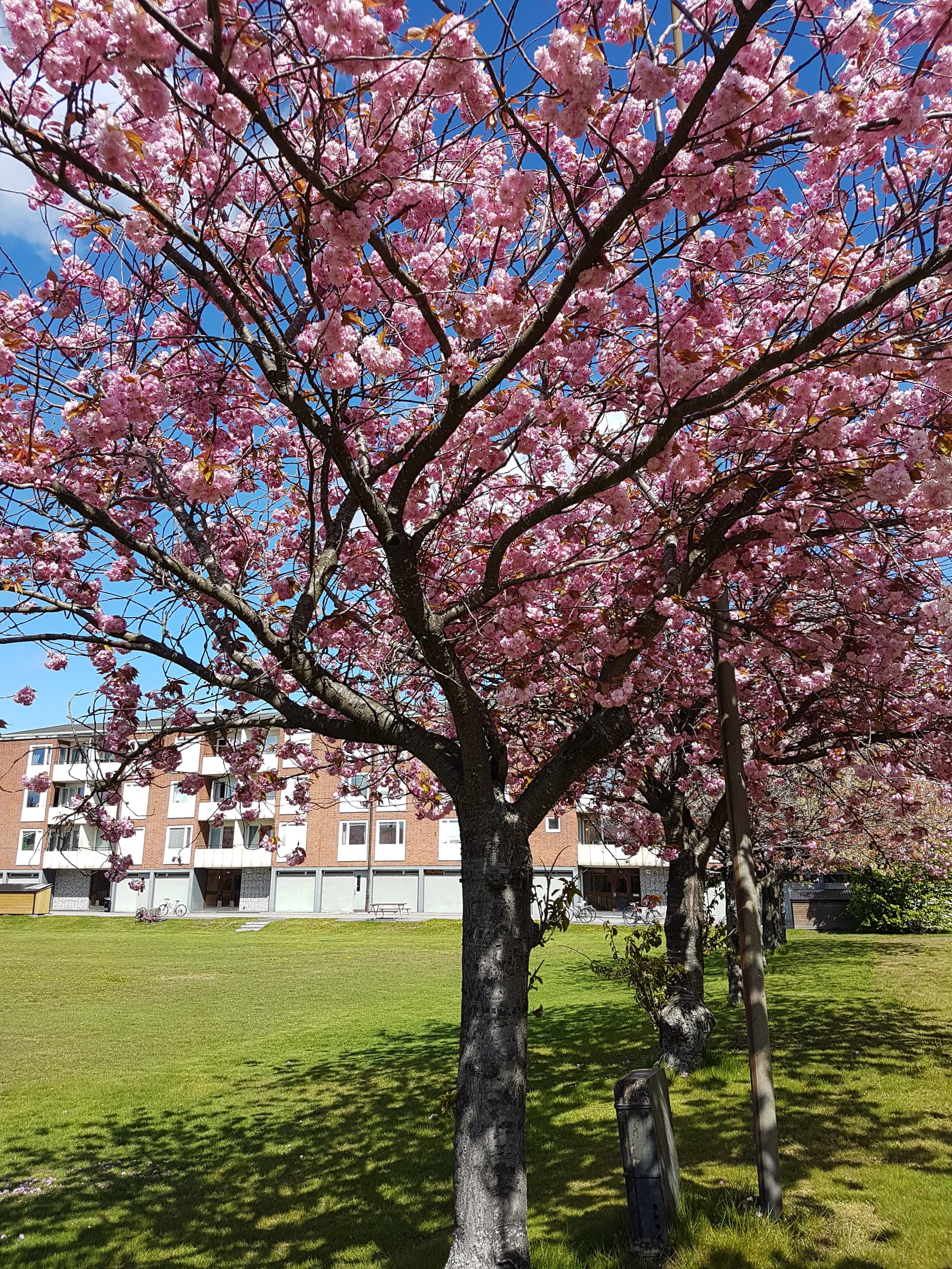 Sjögatan 18 i Oxelösund