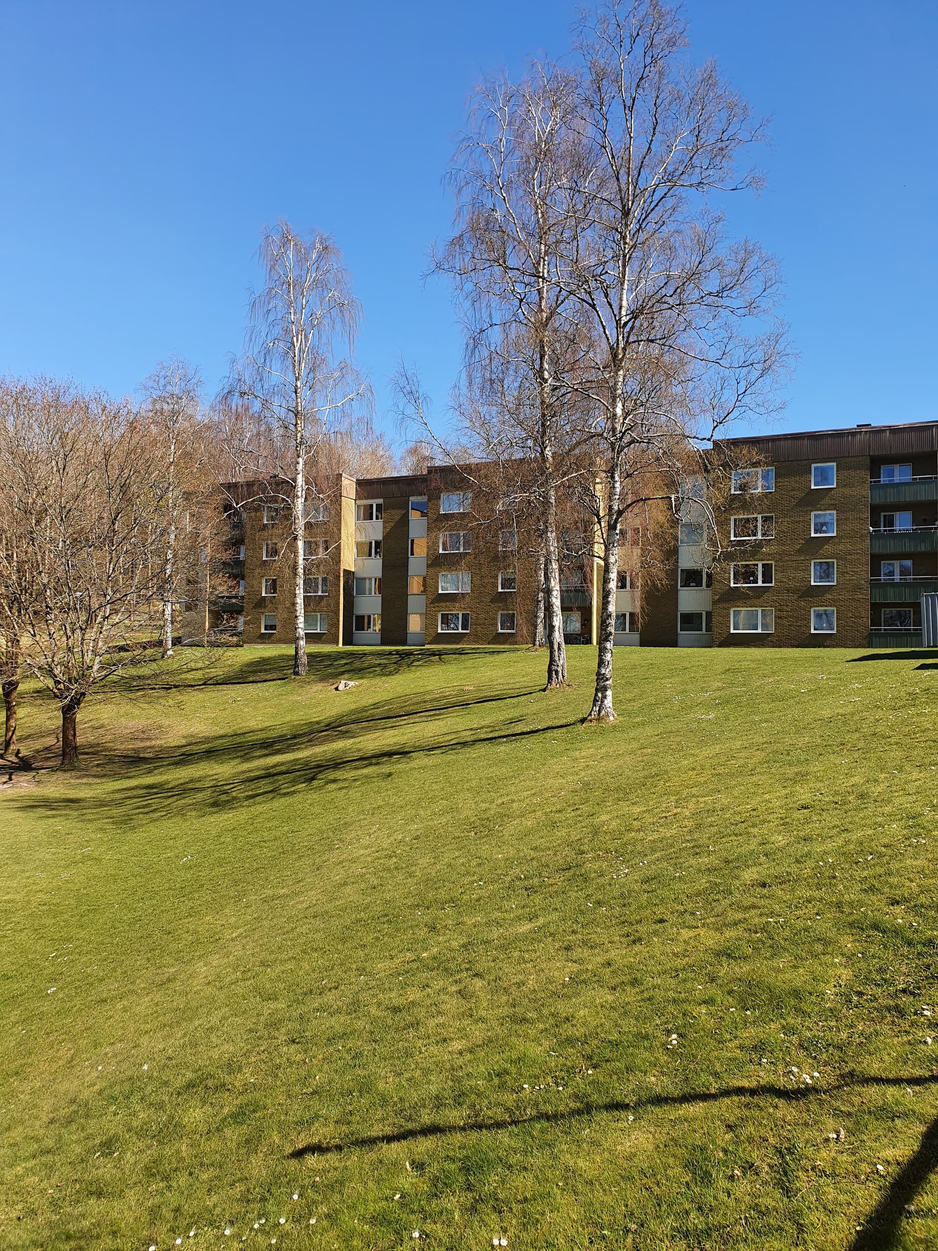 Liljebergsgatan 23 i Borås