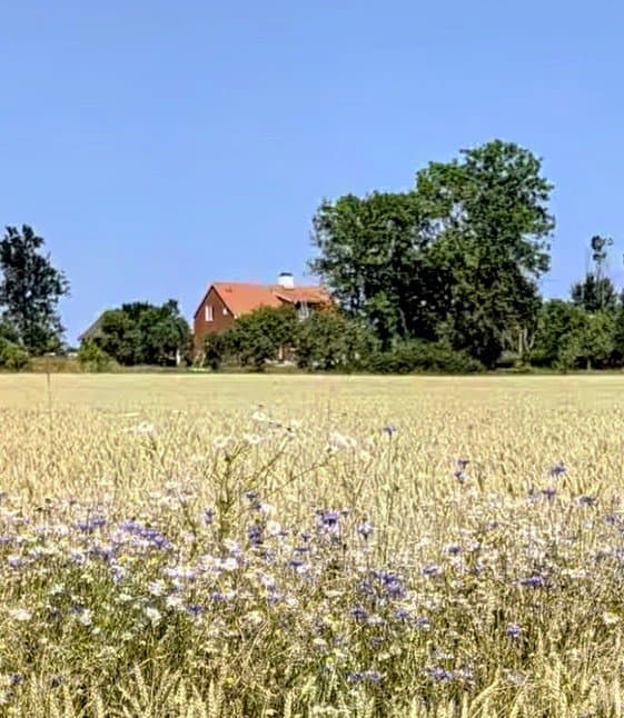 Övlingby i Kvicksund