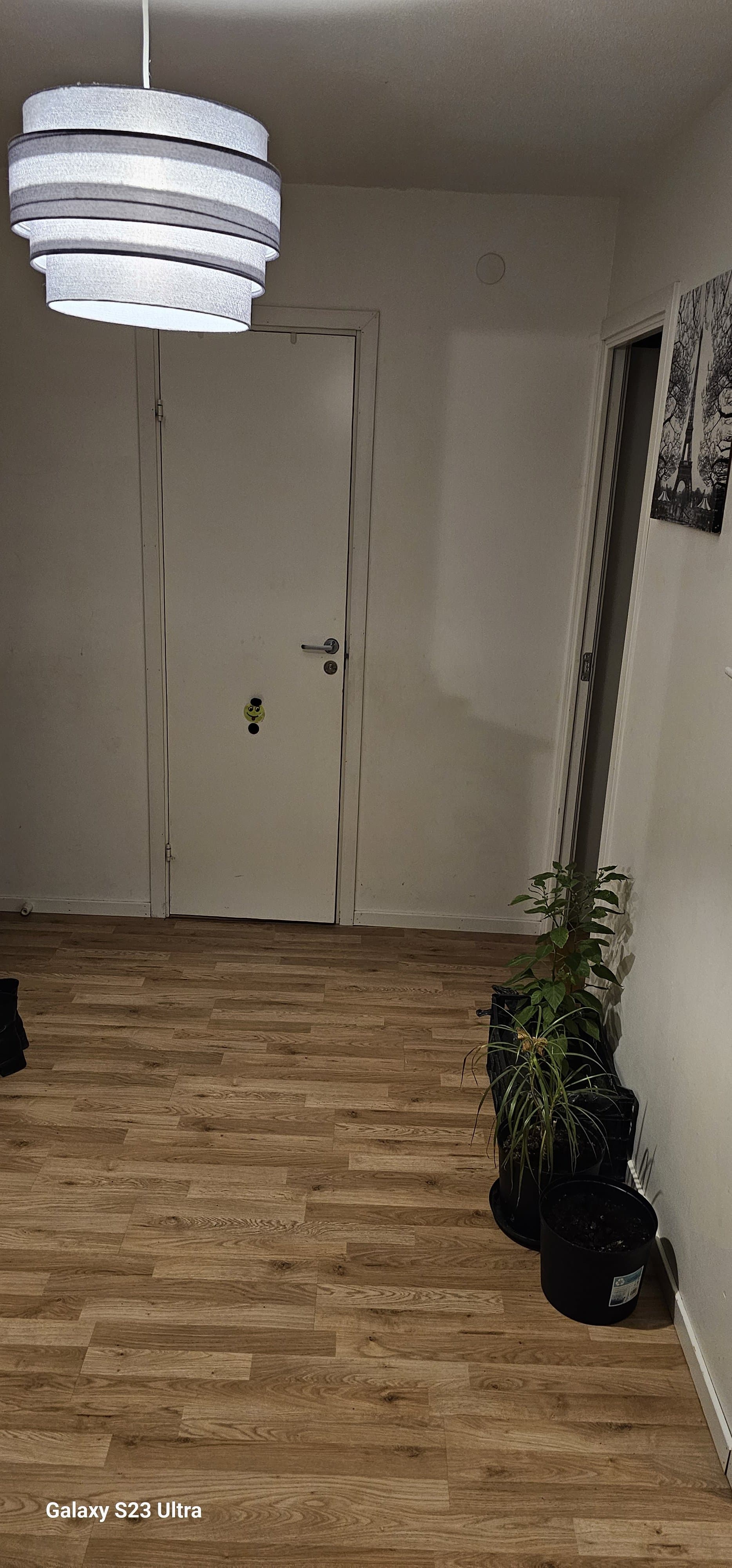 Rönnholmsgränd i Skärholmen