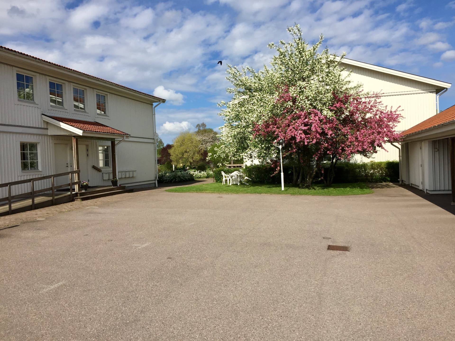 Lokförargatan i Trekanten