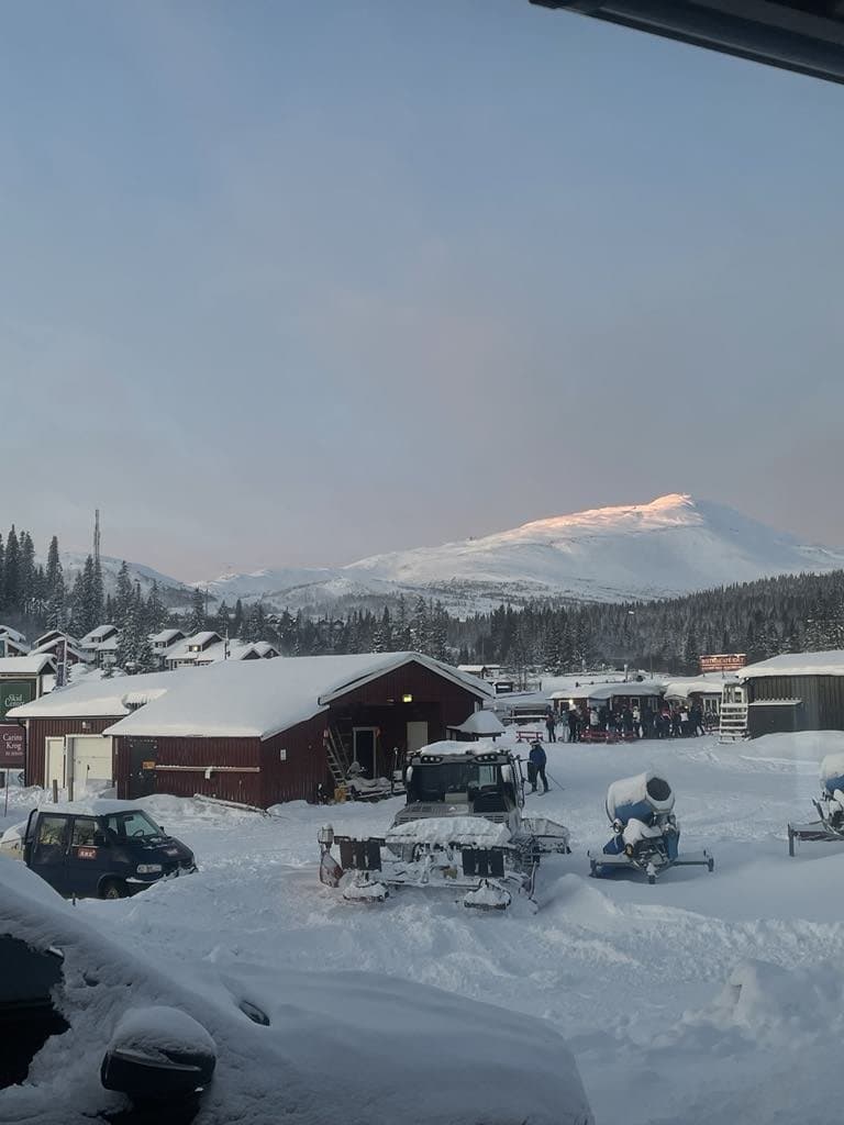 Järven Björnen i Åre