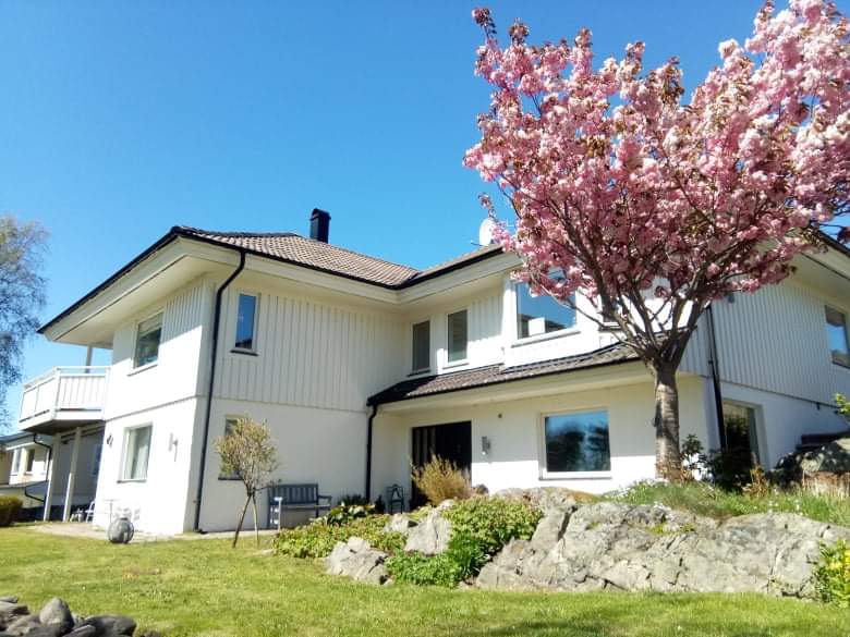 Storsaliden i Onsala