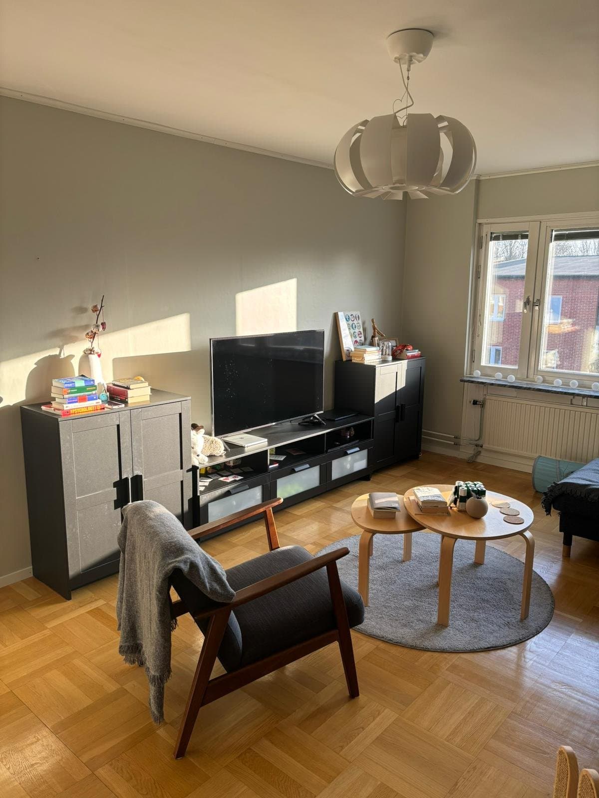 Vildgåsvägen i Lund