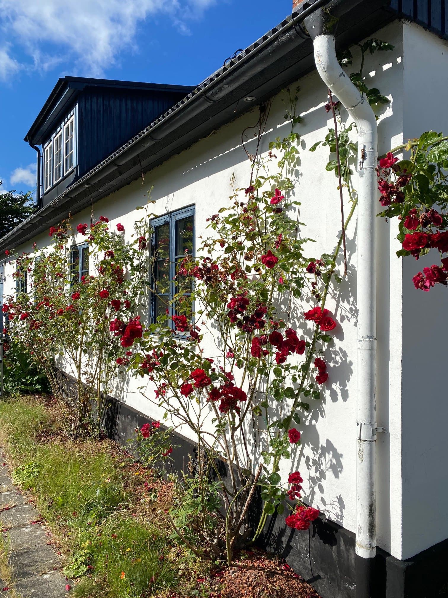 Lilla Beddinge kyrkväg i Beddingestrand