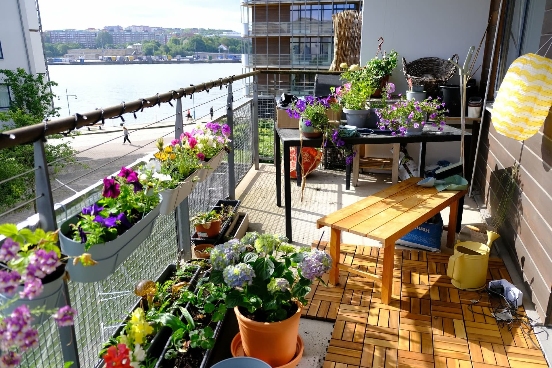 Styrfarten i Göteborg
