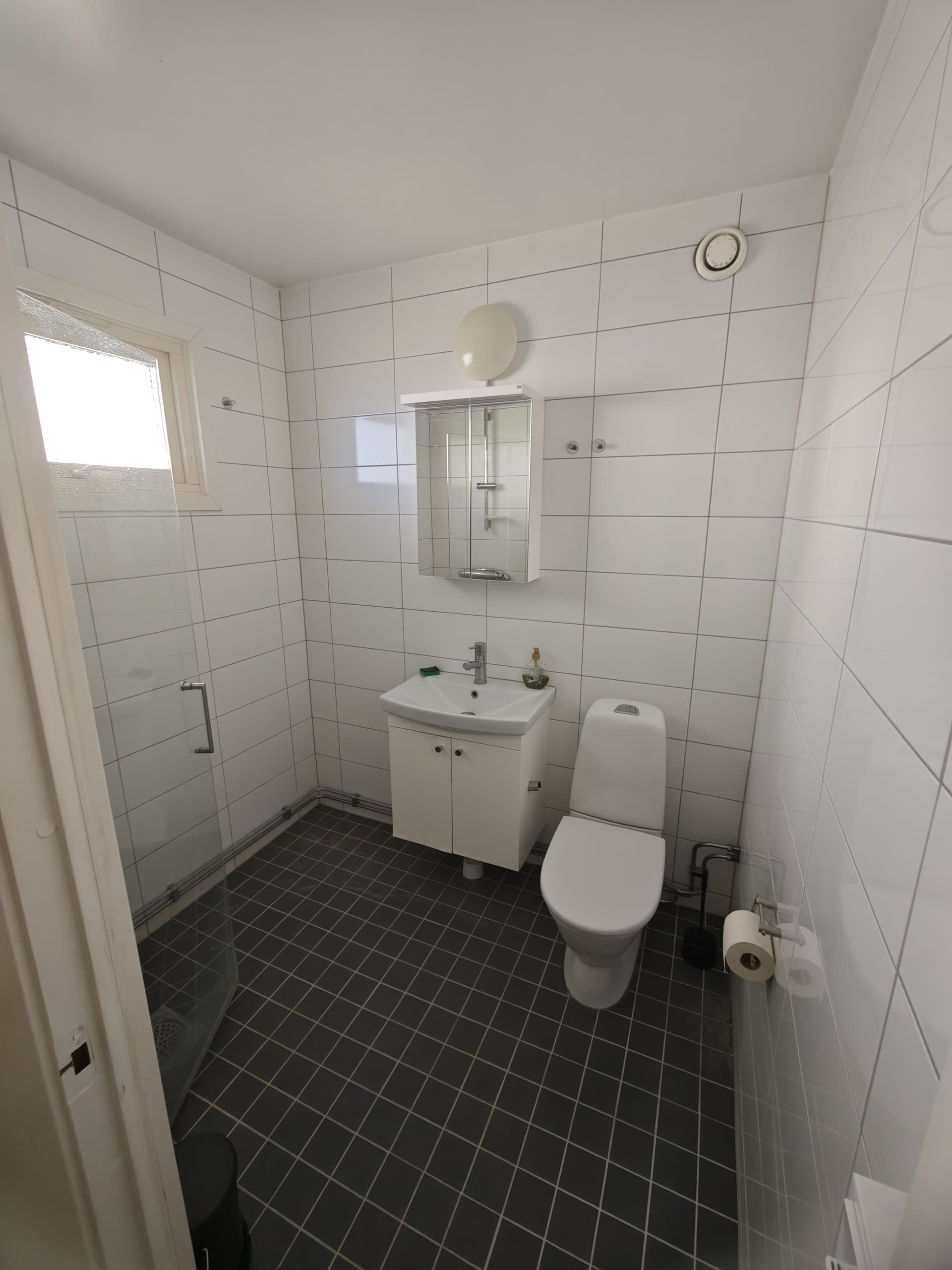 Tulpangatan i Malmö
