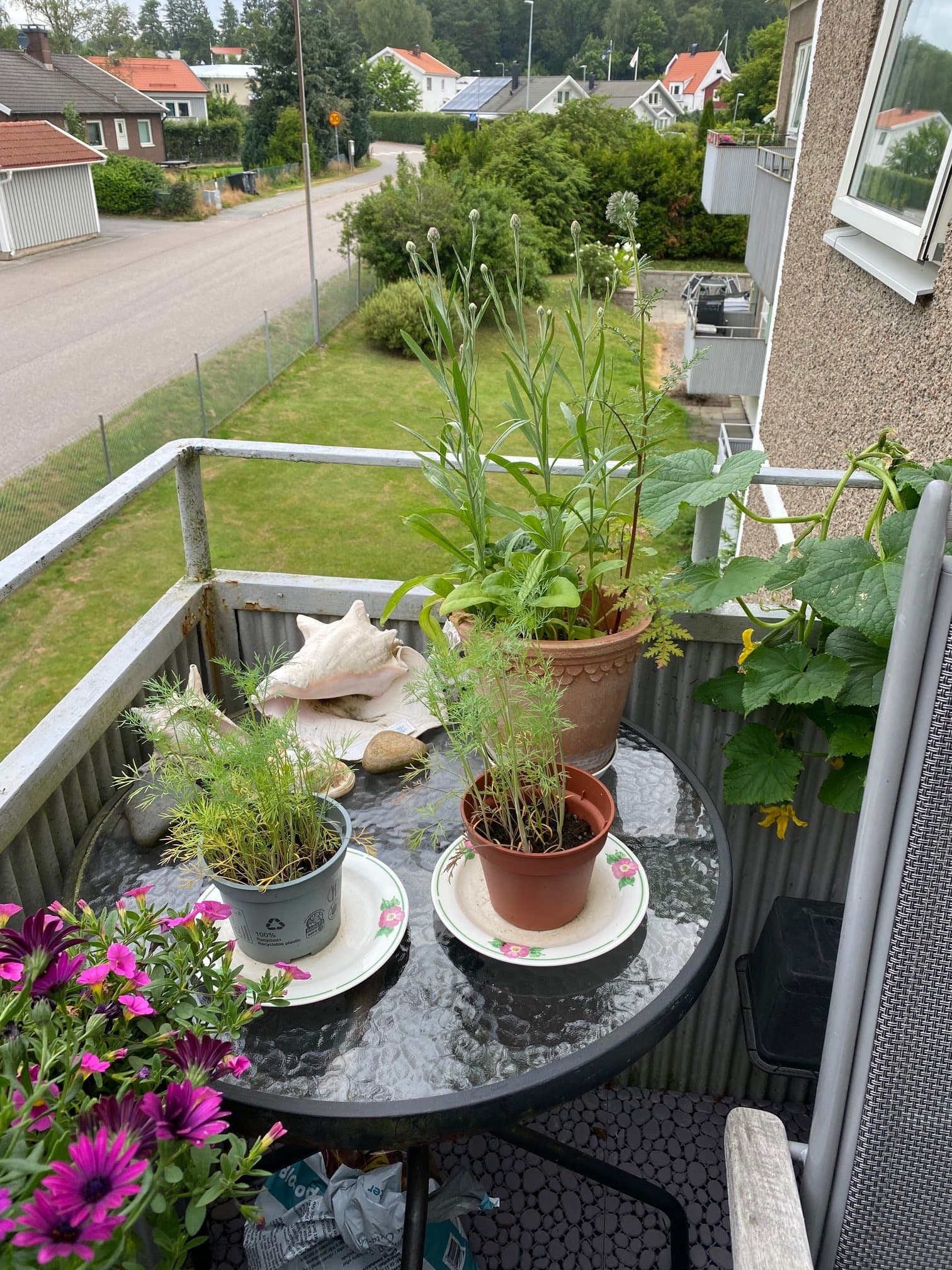 Mossalaggsvägen i Gråbo