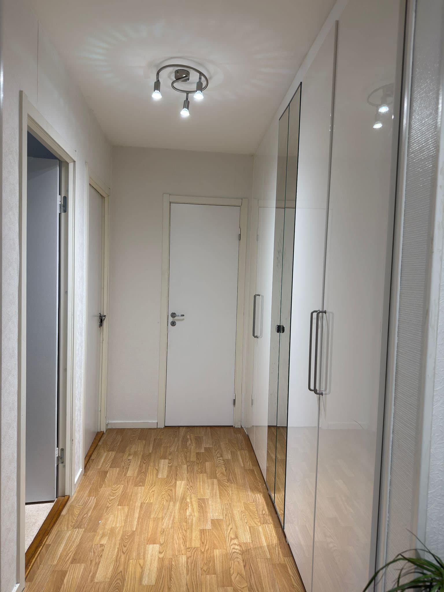 Svedjestråket i Uddevalla