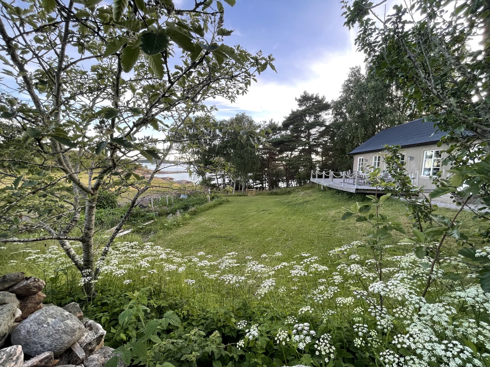 Rossö i Varekil