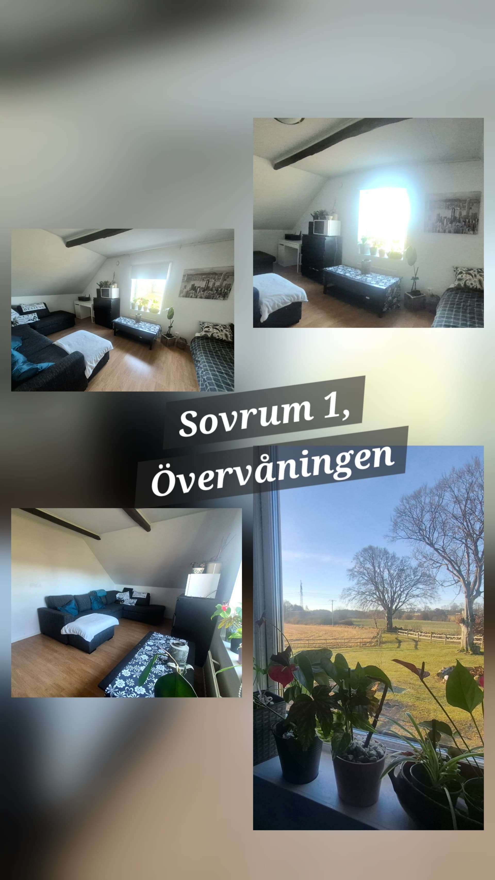 Rolsberga i Höör