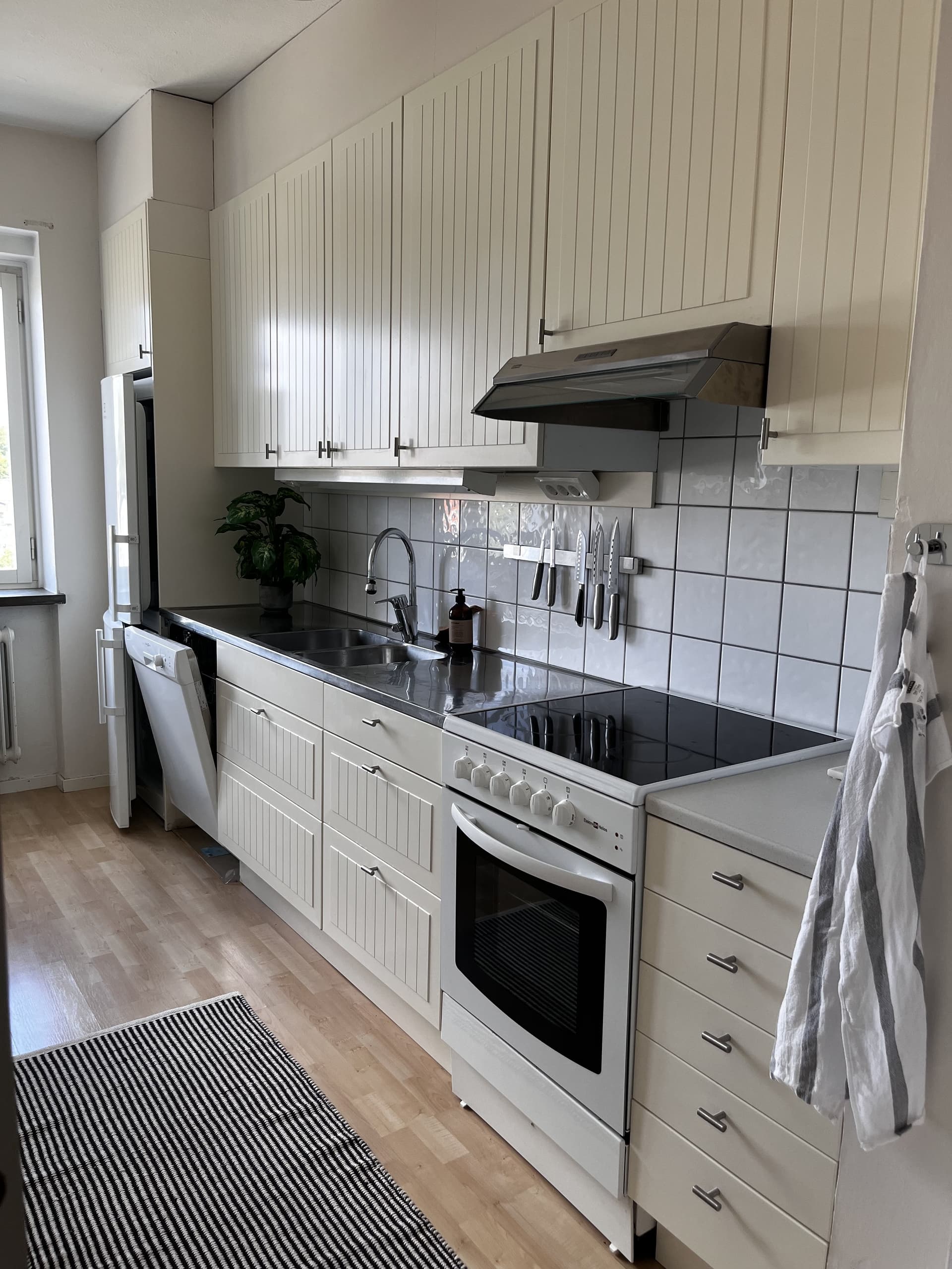 Värpatorparens väg i Hässleholm