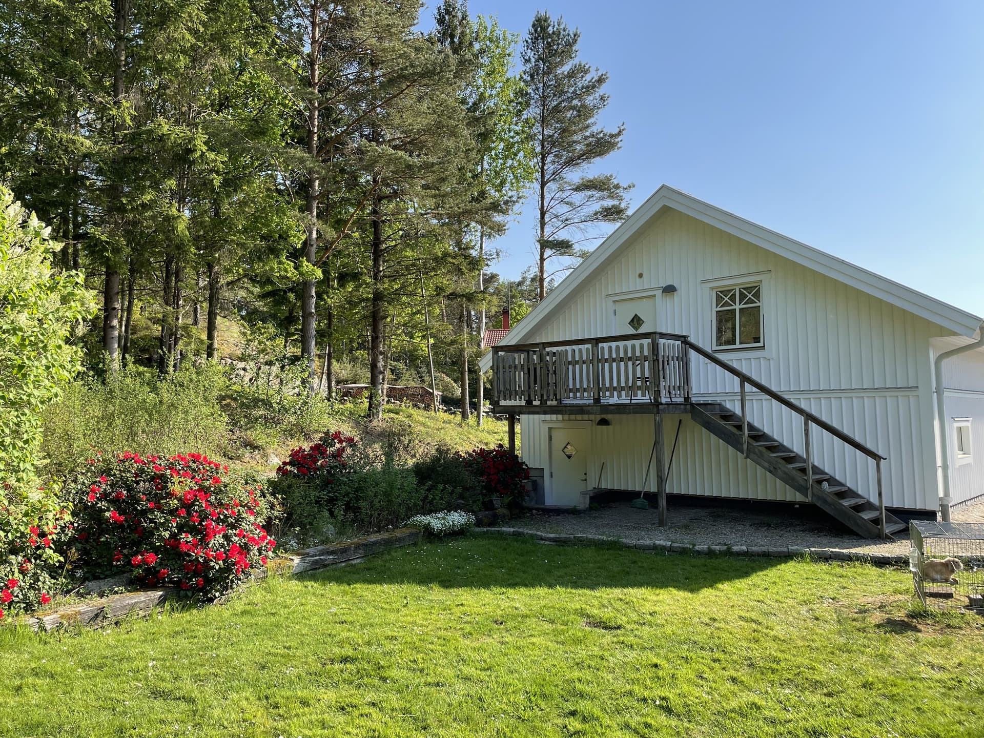 Hermans lycka i Kode