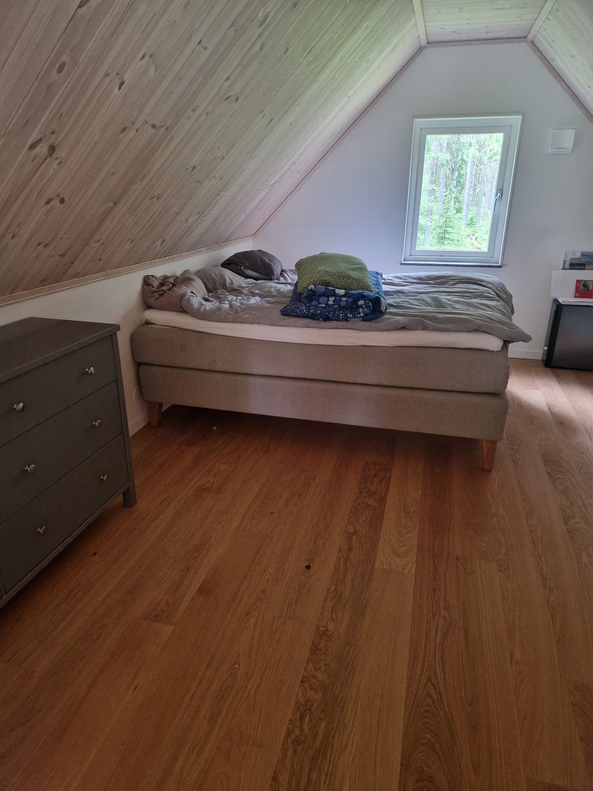 Västbyn i Frösön