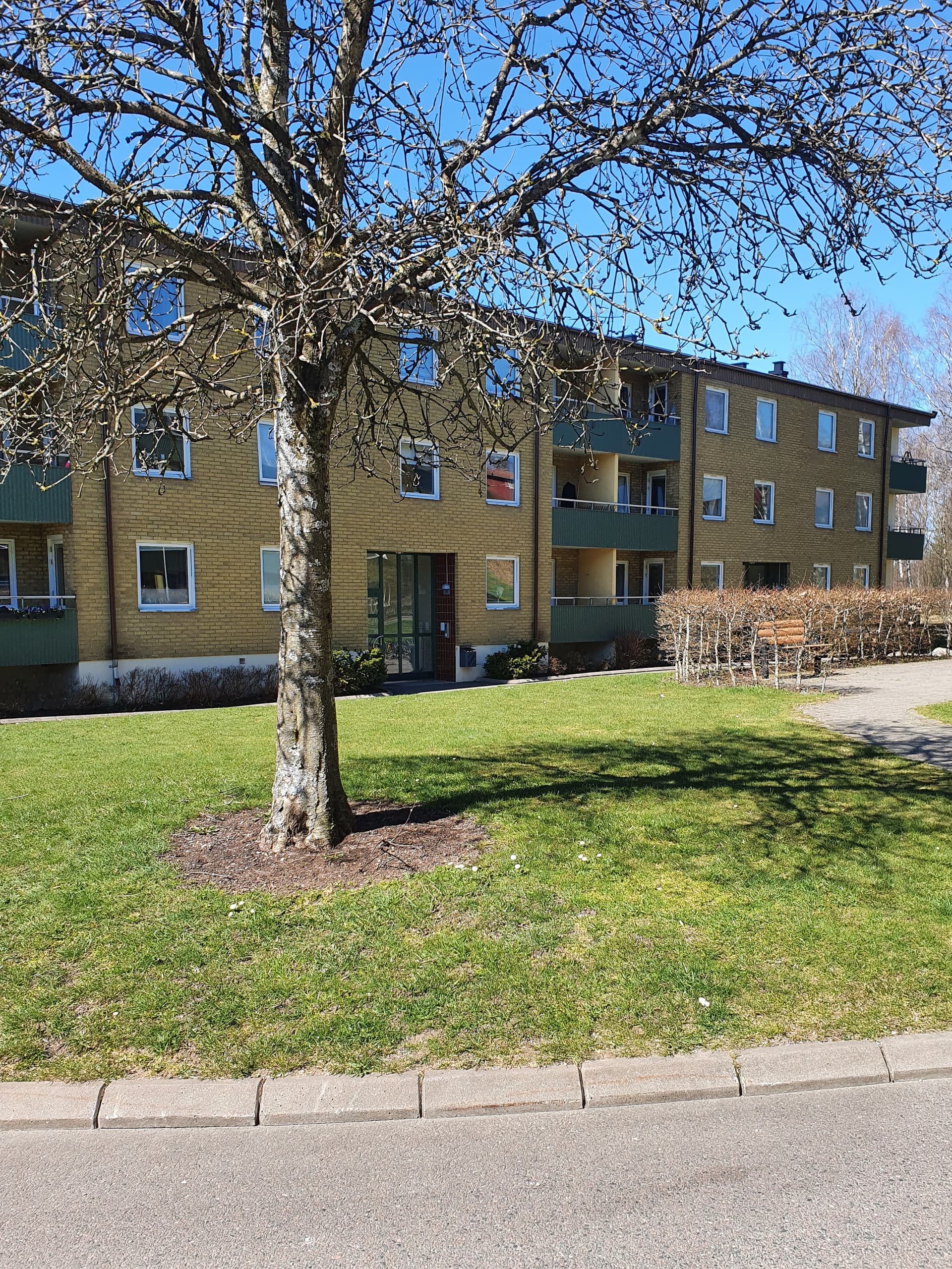 Liljebergsgatan i Borås