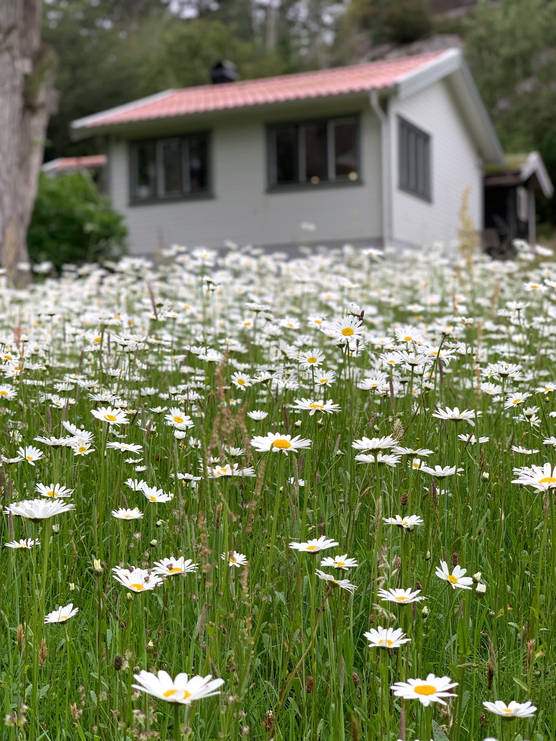 Bastubäcksvägen i Kode