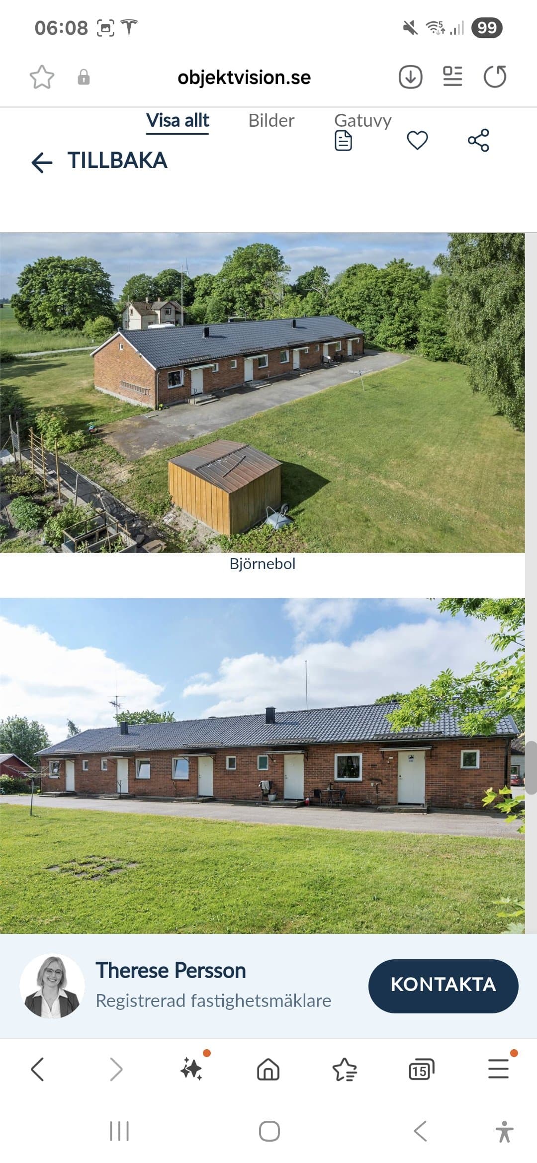 Björnebol i Mellerud