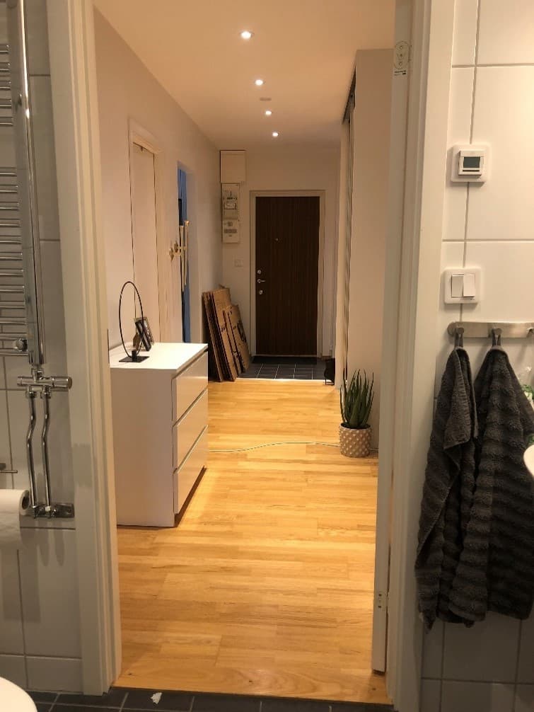 Viskgatan i Helsingborg