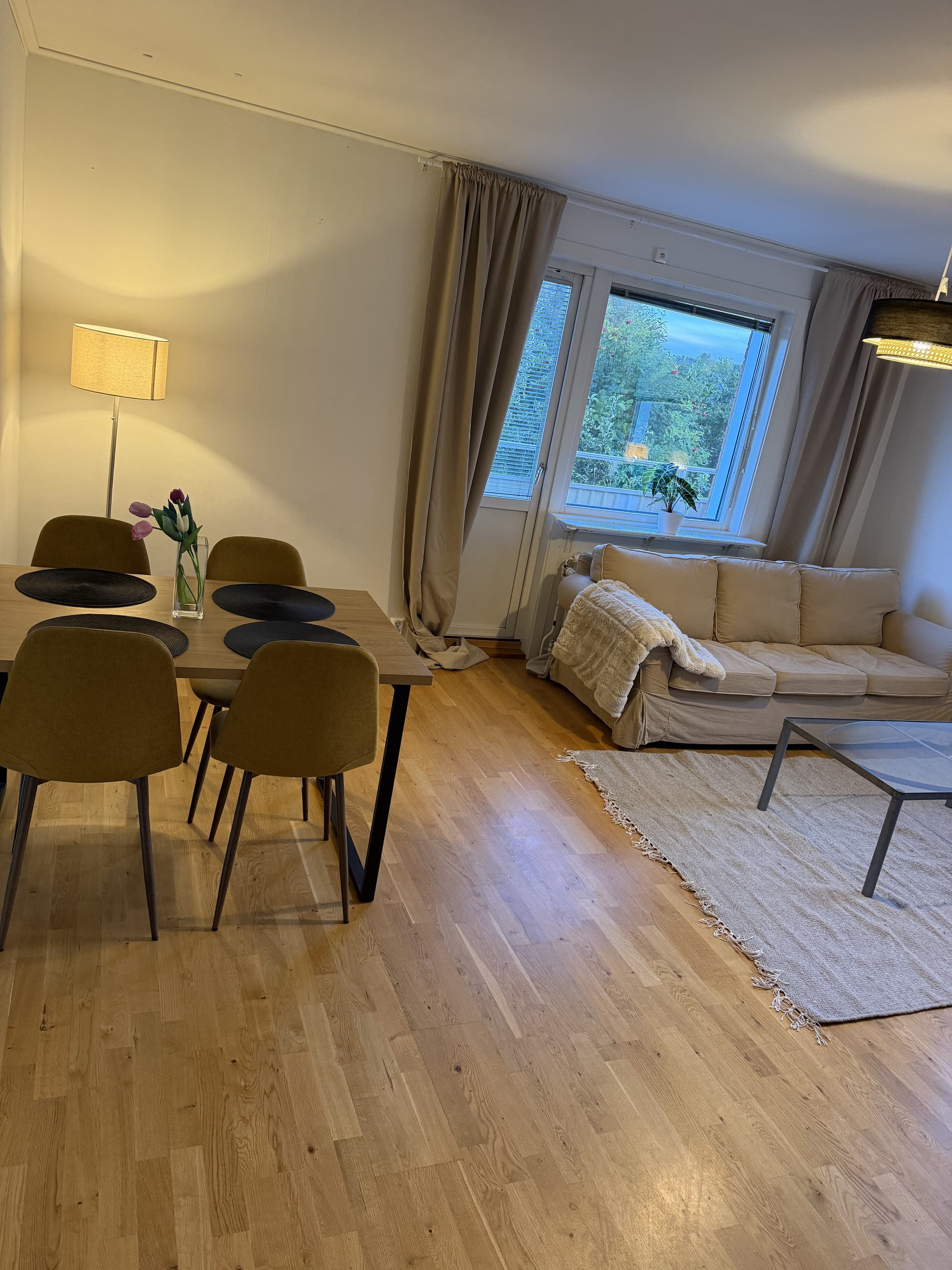 Plangatan i Skellefteå