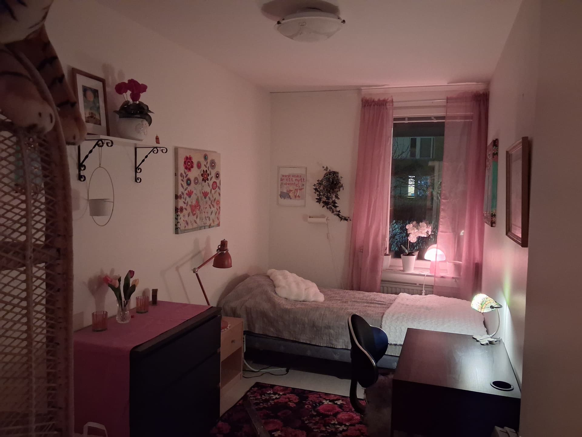 Rydsvägen i Linköping