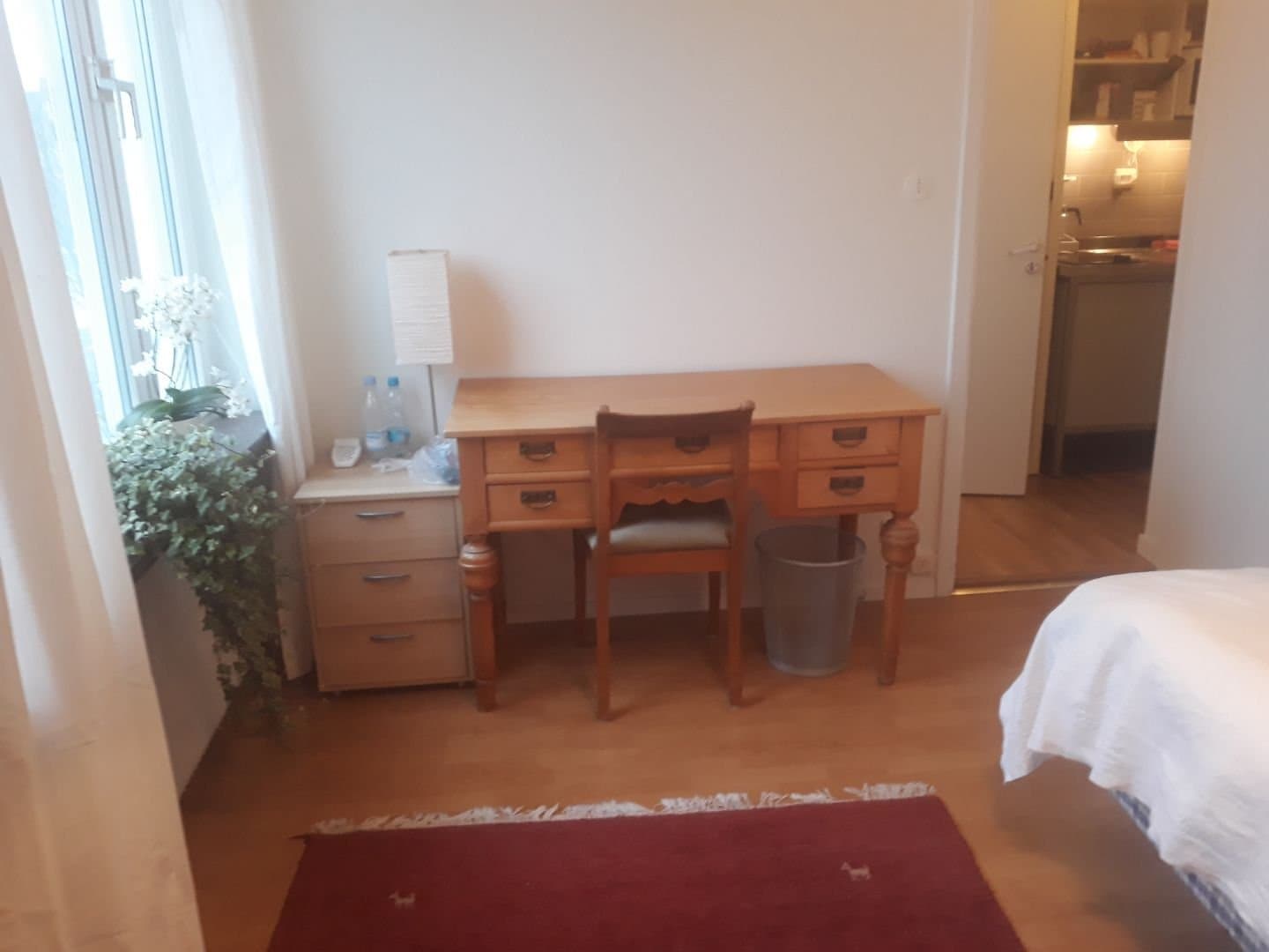 Dag Hammarskjölds väg i Lund
