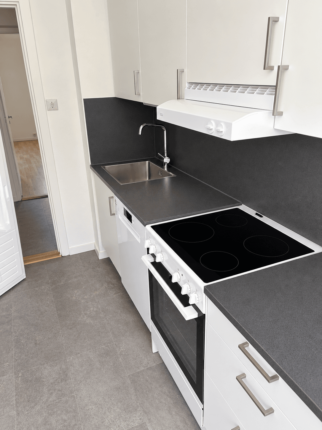 Snapphanegatan i Hässleholm