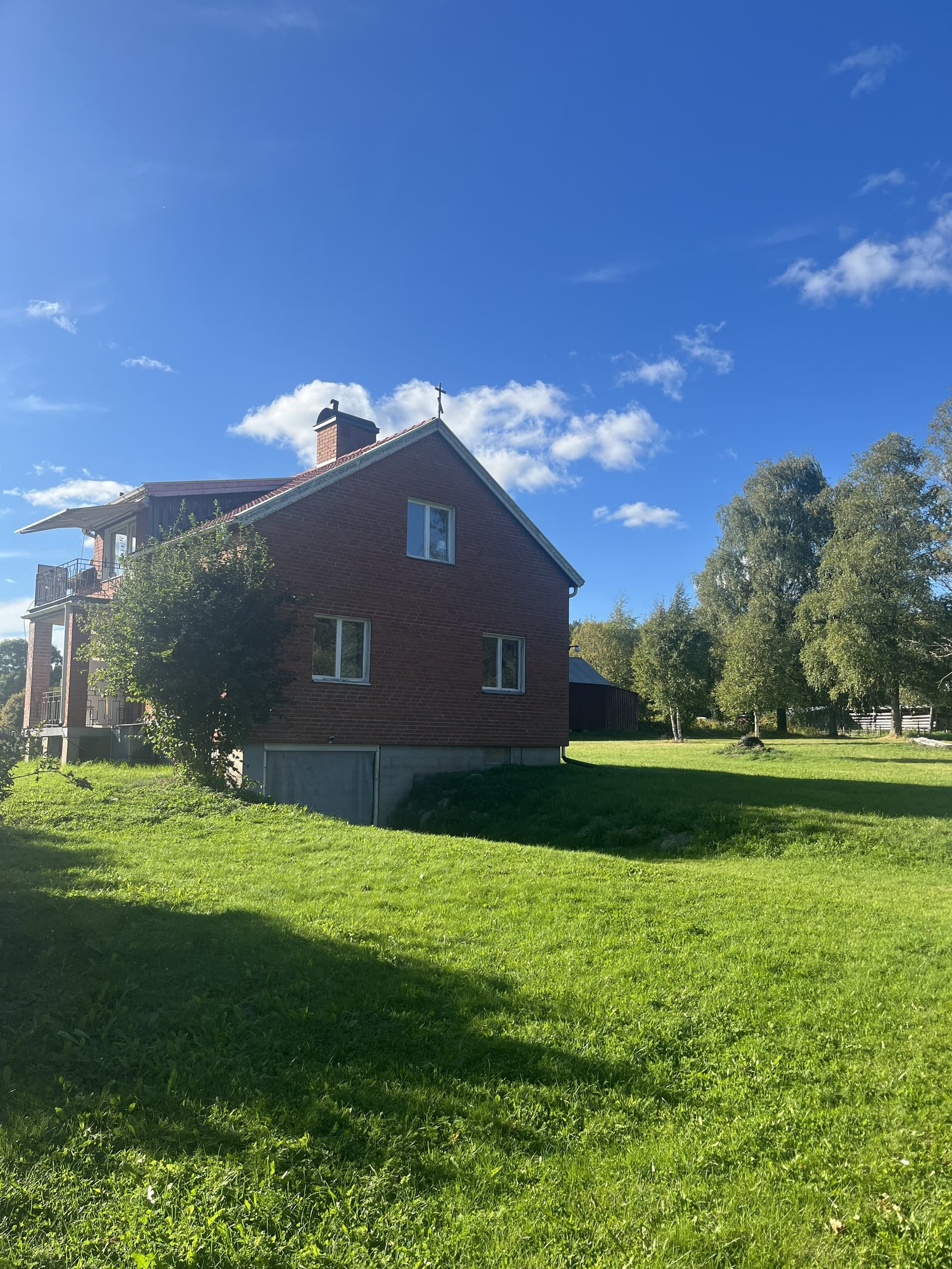 Björkil i Sunnemo