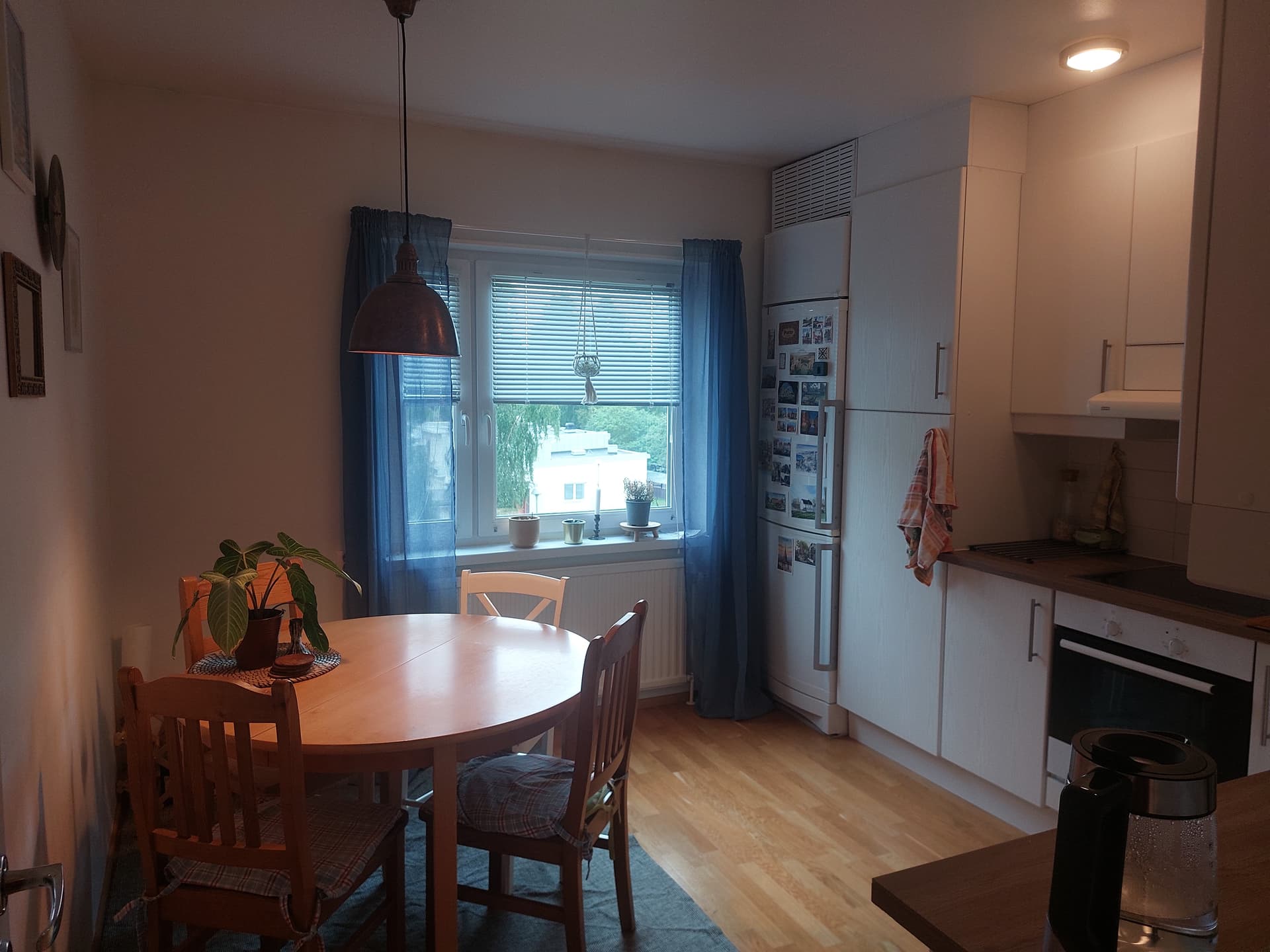 Morkullevägen i Umeå