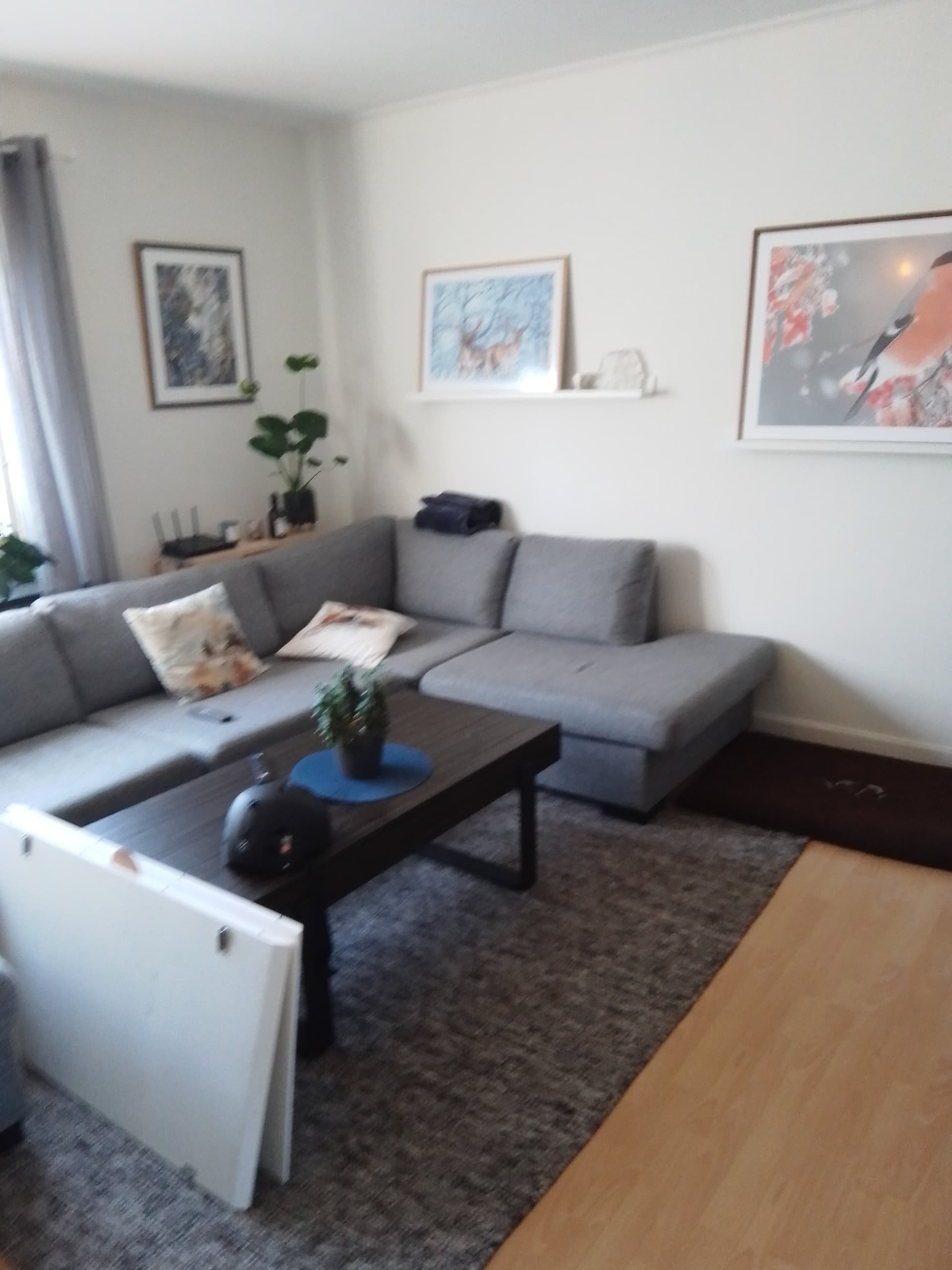 Brömsebrogatan i Halmstad