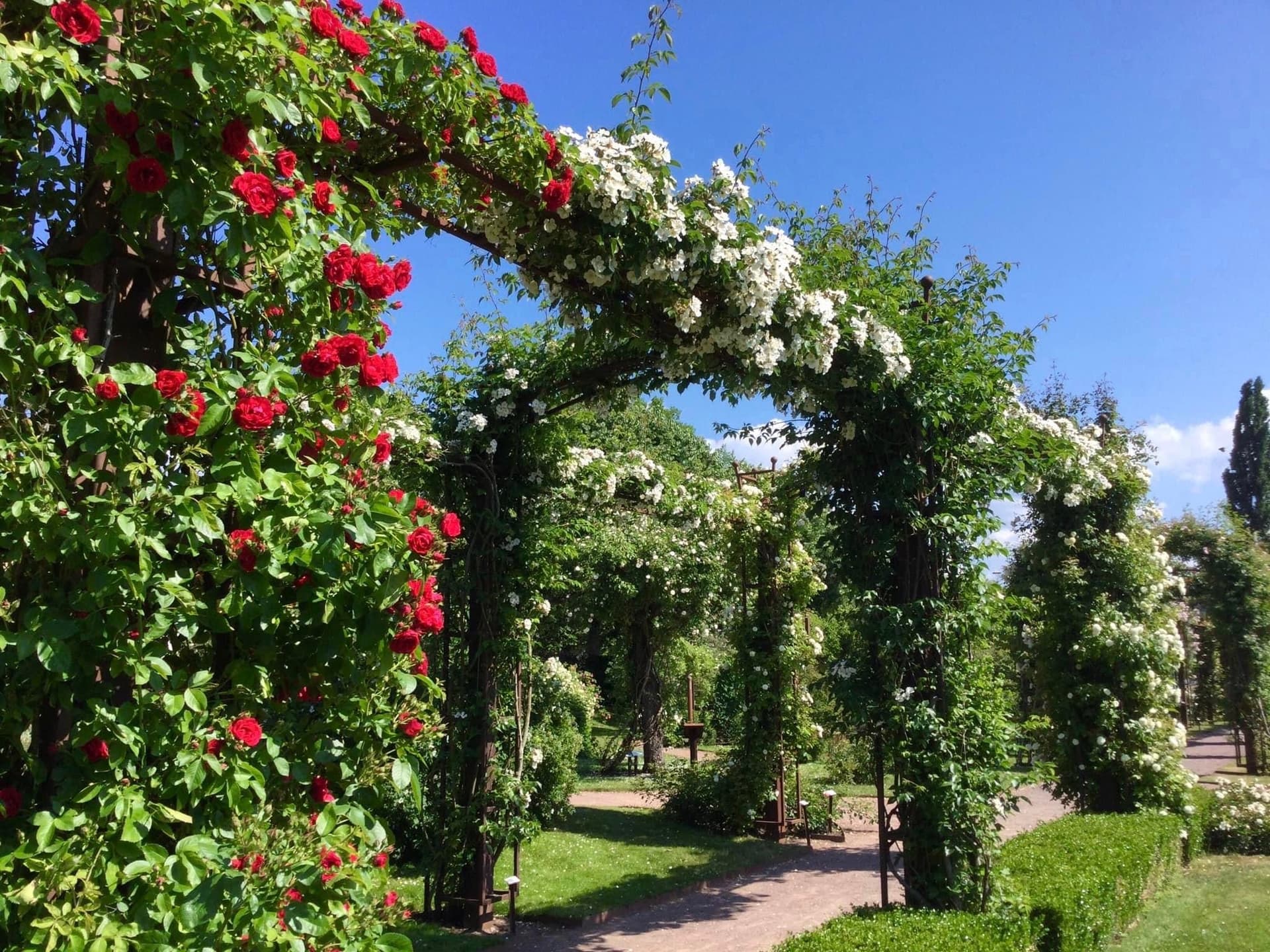 Starrgatan i Jönköping