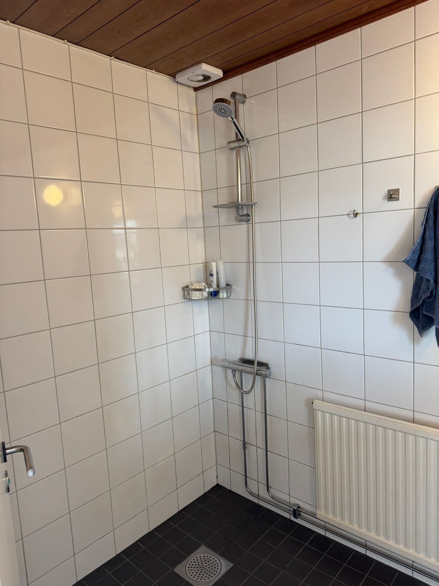 Algatan i Landskrona