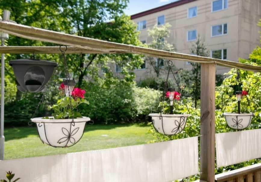 Jungfruns gata i Brandbergen