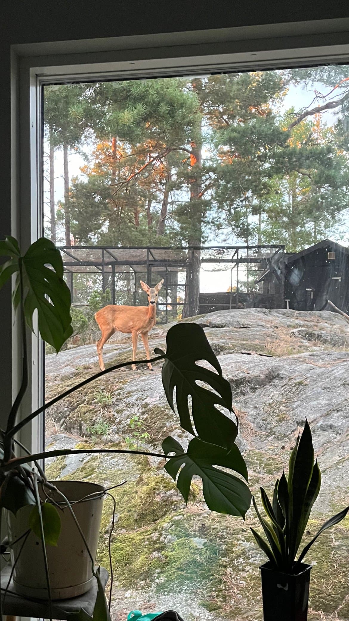 Hjärtstocksvägen i Värmdö
