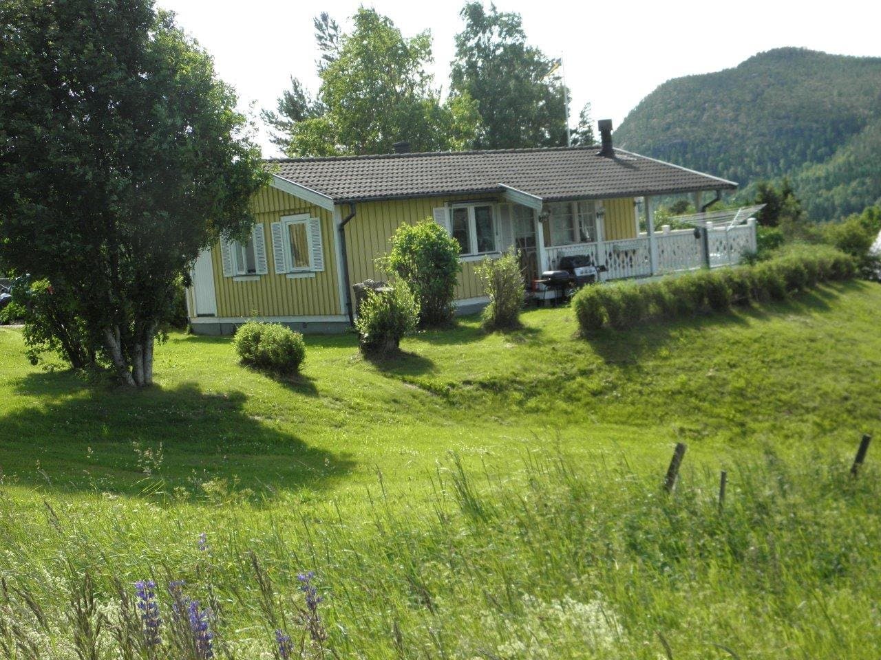Östanskär i Indal