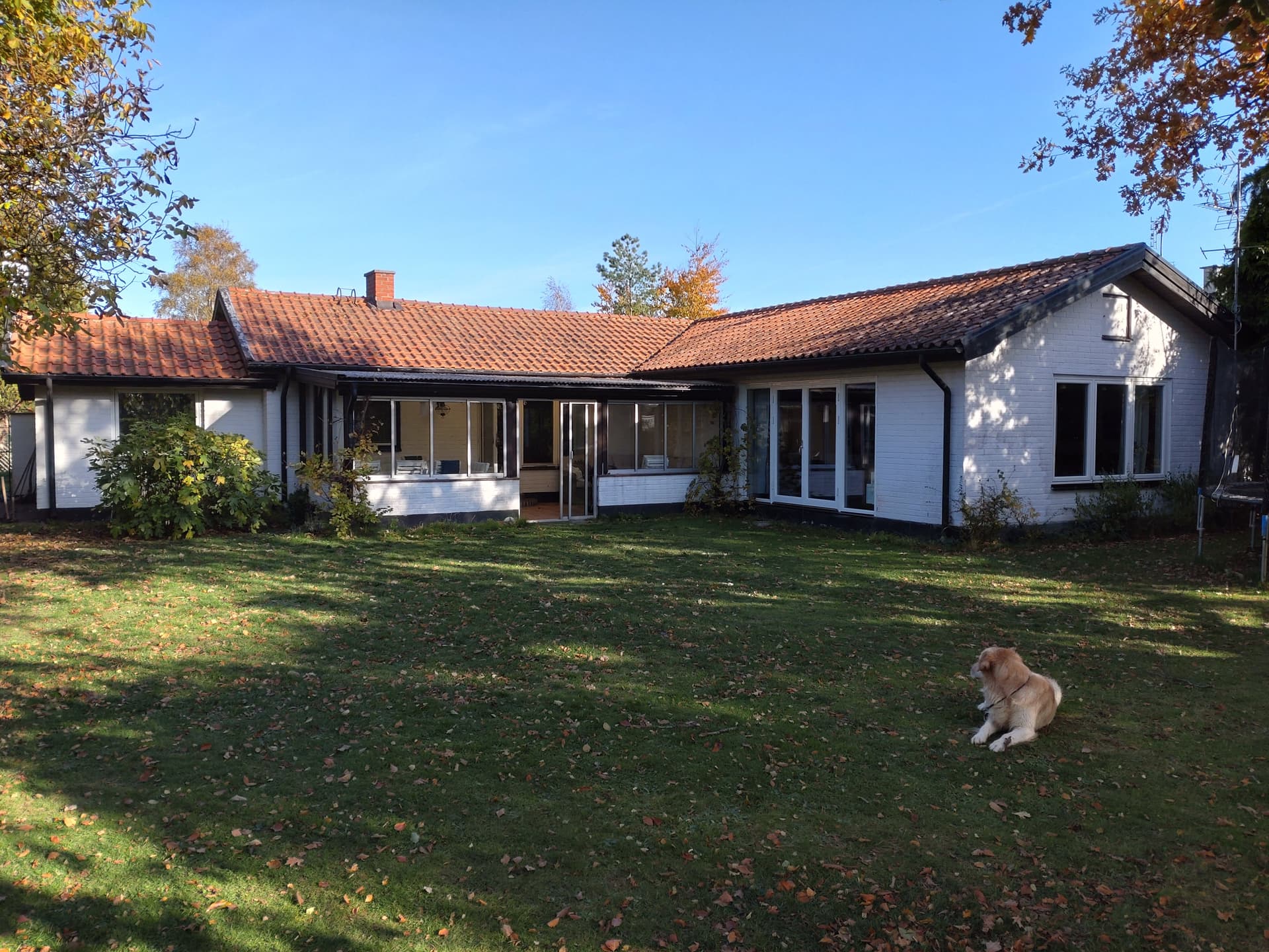 Tobisvägen i Falsterbo