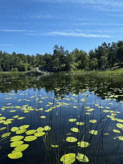 Gömmarvägen i Huddinge