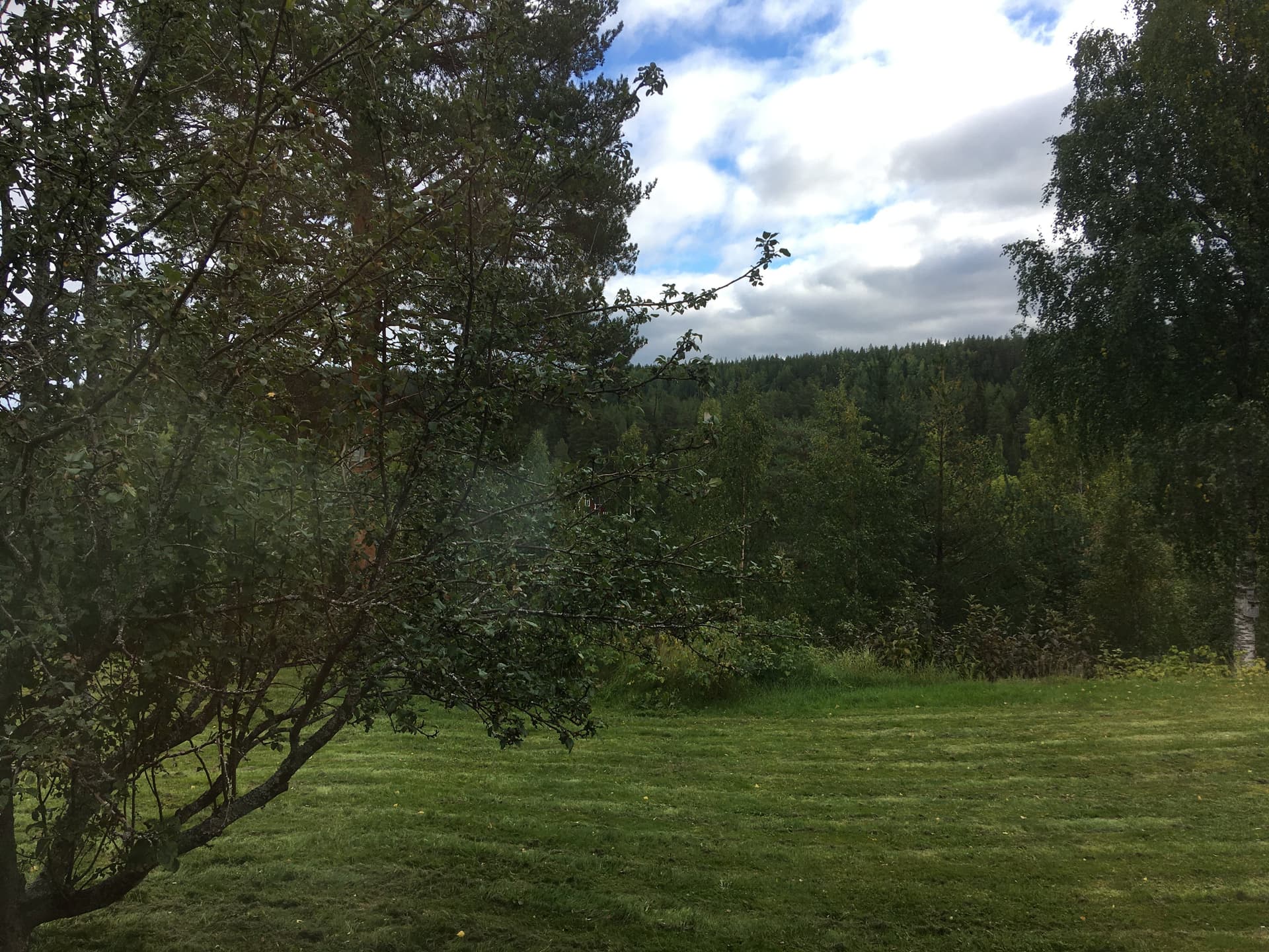 Forsbacka i Skellefteå