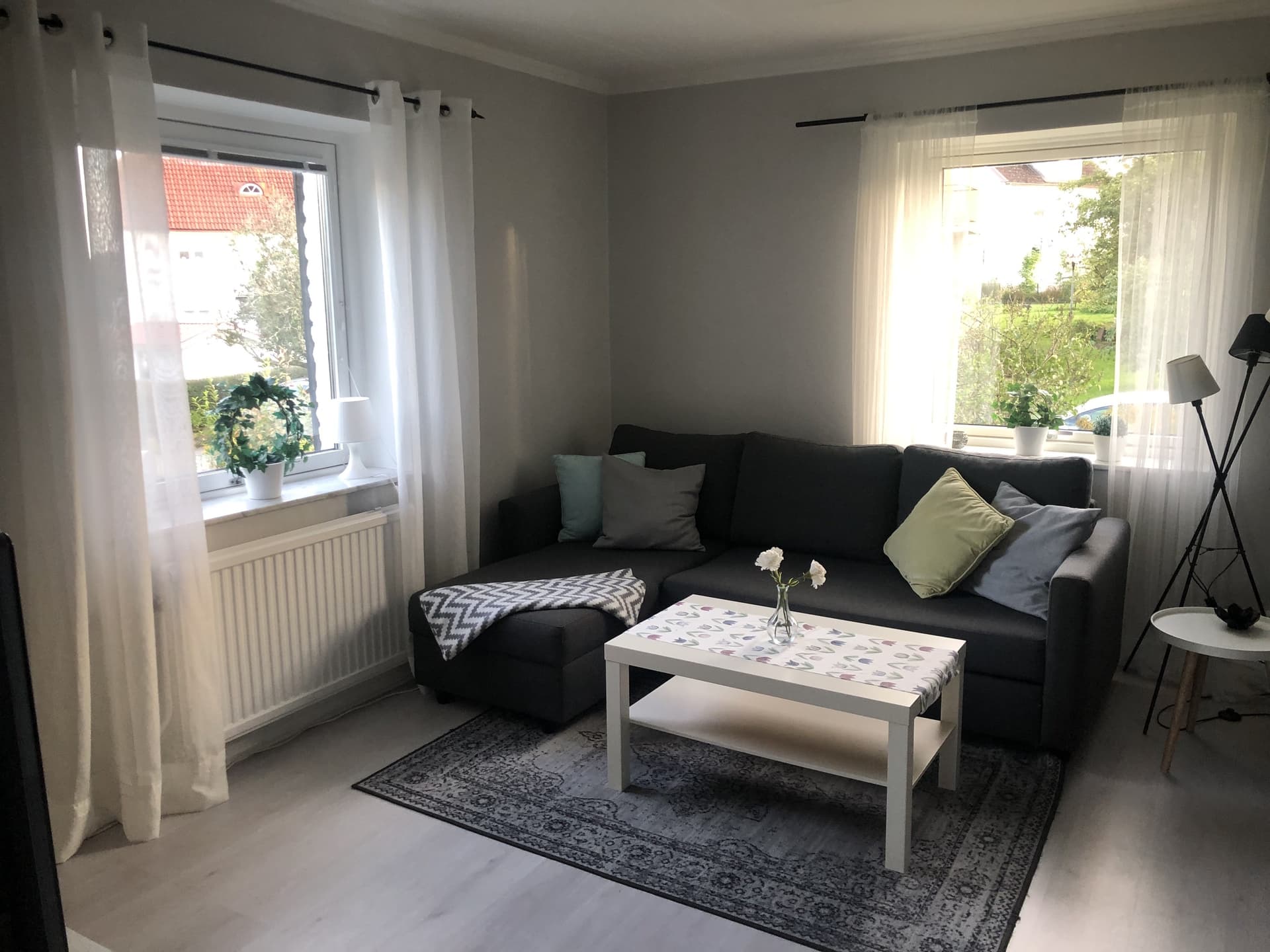 Ribbingsgatan i Borås